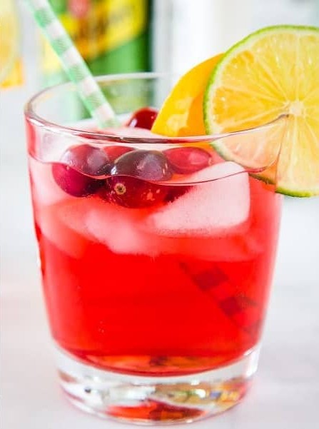 Cranberry Gin Cocktail