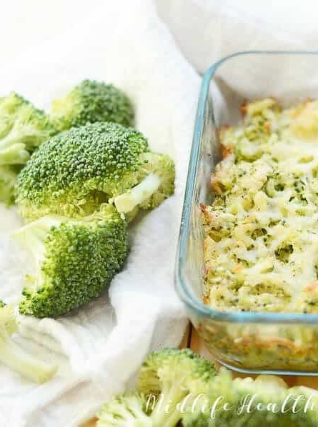 Parmesan Broccoli Dip