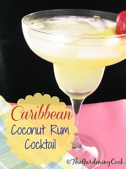 Caribbean Coconut Rum and Pineapple Cocktail