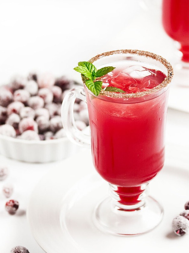 Cranberry Ginger Fizz Cocktail