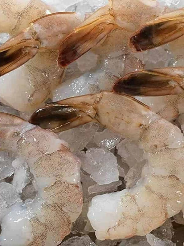 Frozen Shrimp or Prawns