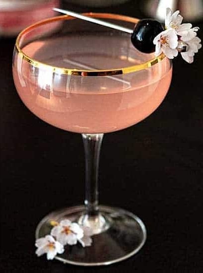 The Pink Cherry Blossom Maraschino Liqueur Cocktail