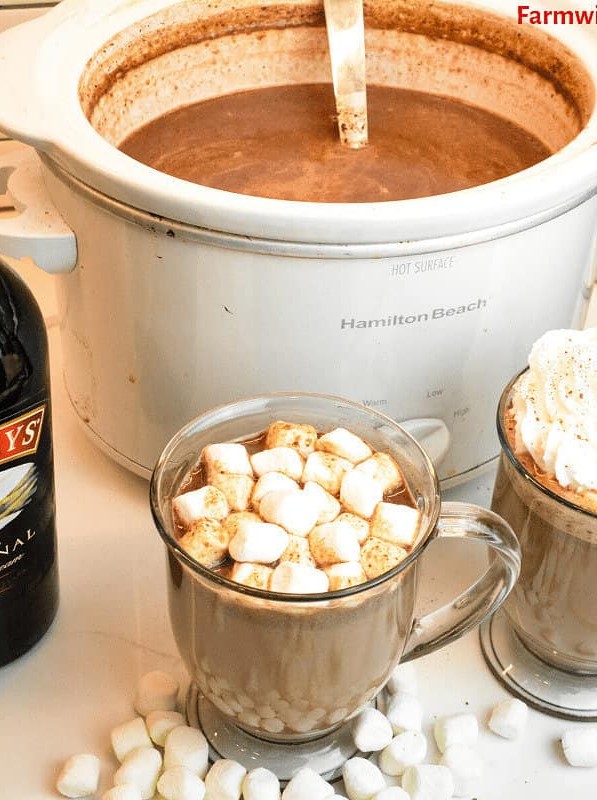 Crock Pot Hot Chocolate