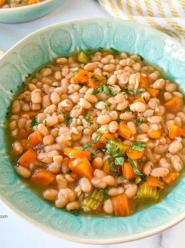 Instant Pot Navy Bean Soup