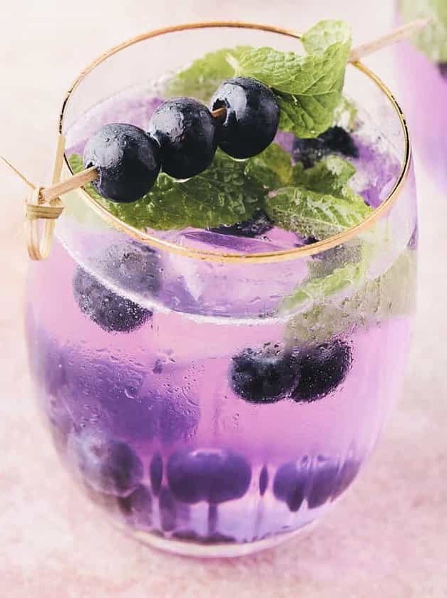 Empress Gin and Blueberry Mojito Cocktail