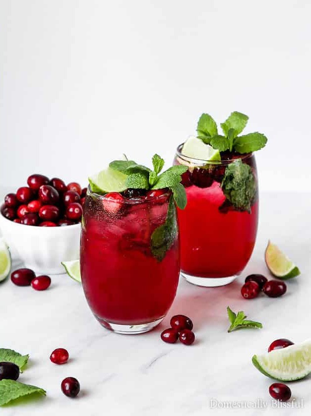 Cranberry Mojito