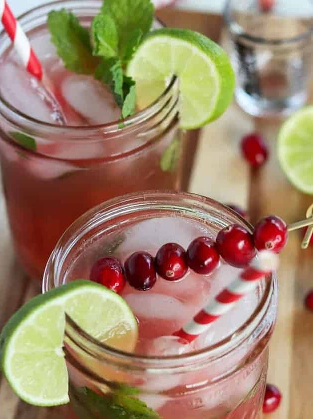 Cranberry Mojito