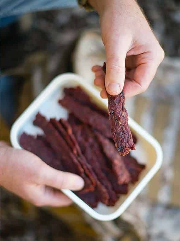 Pemmican-style Ground Meat Jerky