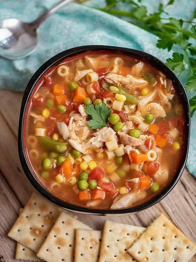 Instant Pot Chicken Vegetable Soup