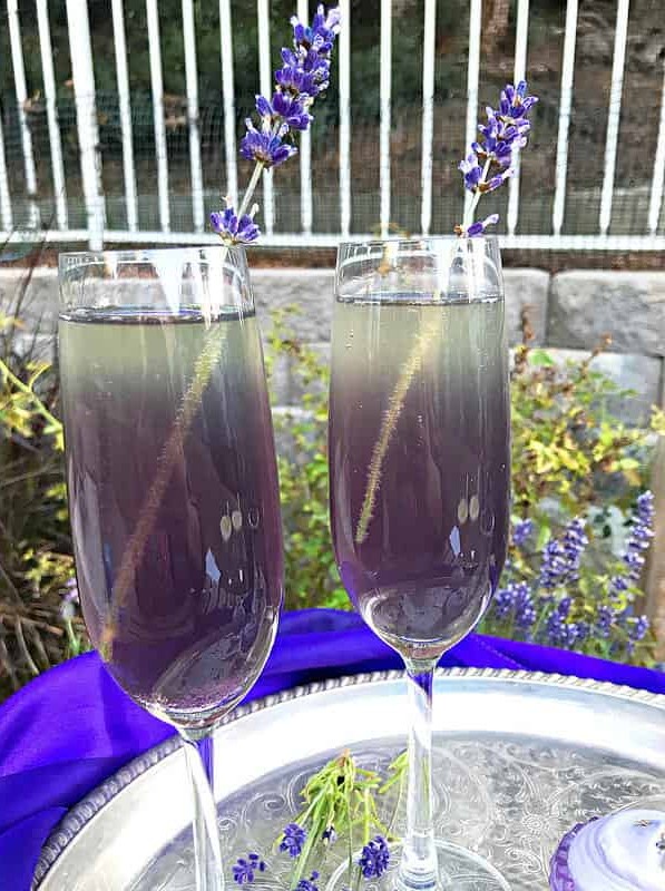 Lavender Elderflower Champagne Cocktail