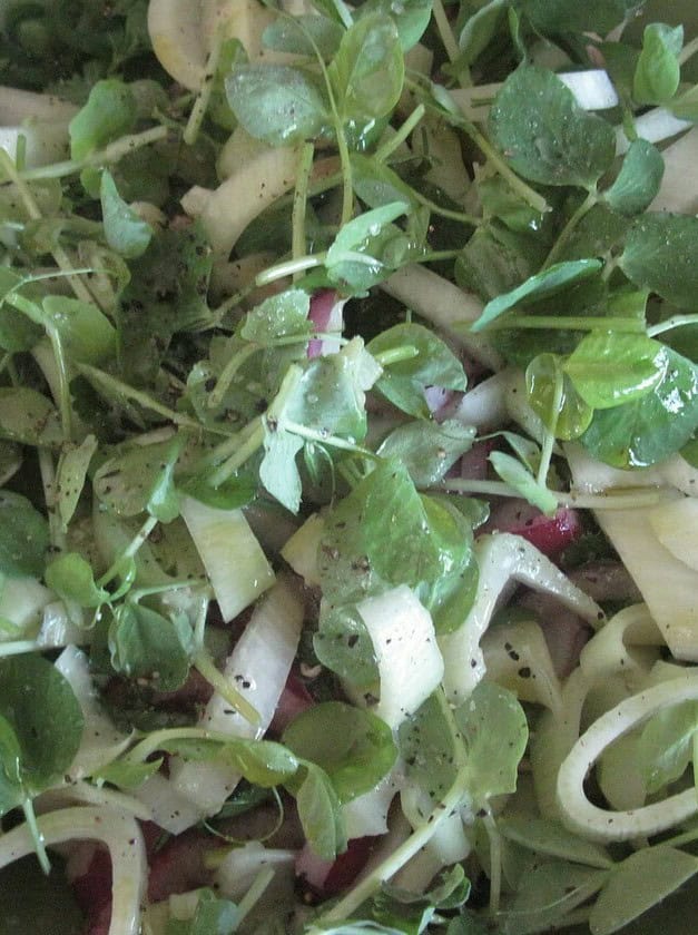 Fabulous Fennel Salad