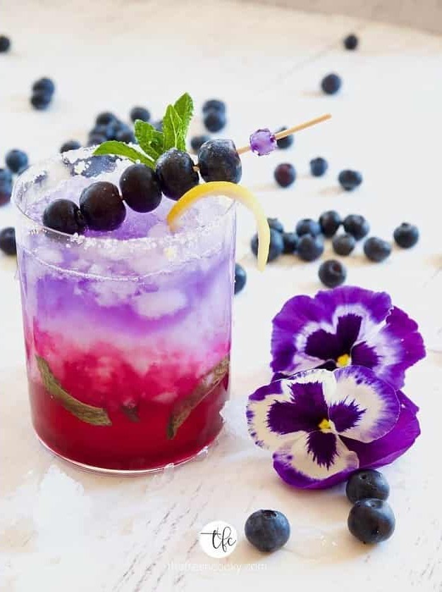 Blueberry Gin Cocktail