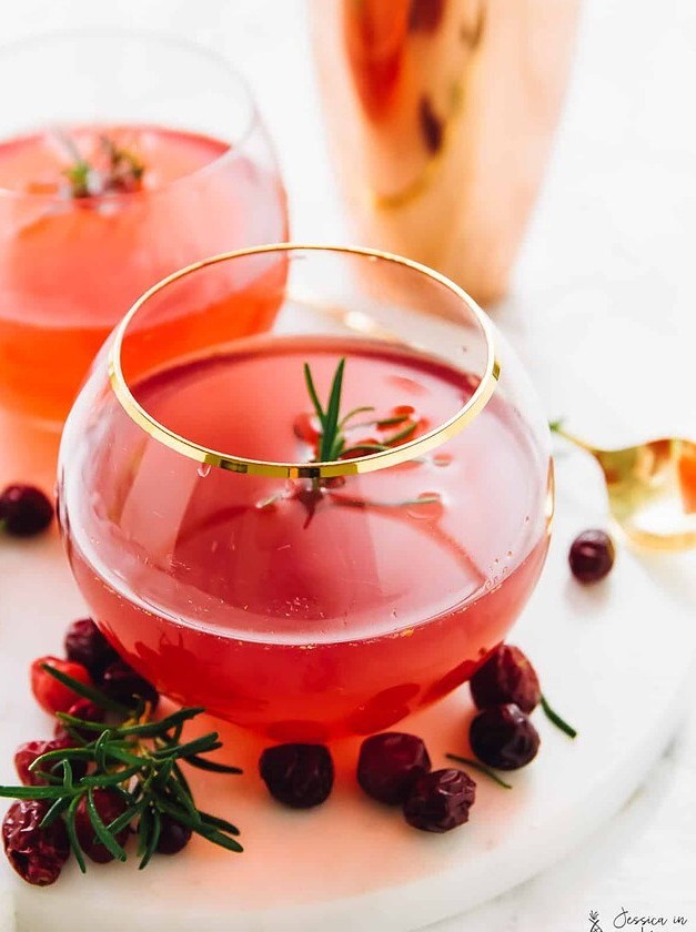 Winter Cranberry Gin Fizz Cocktail