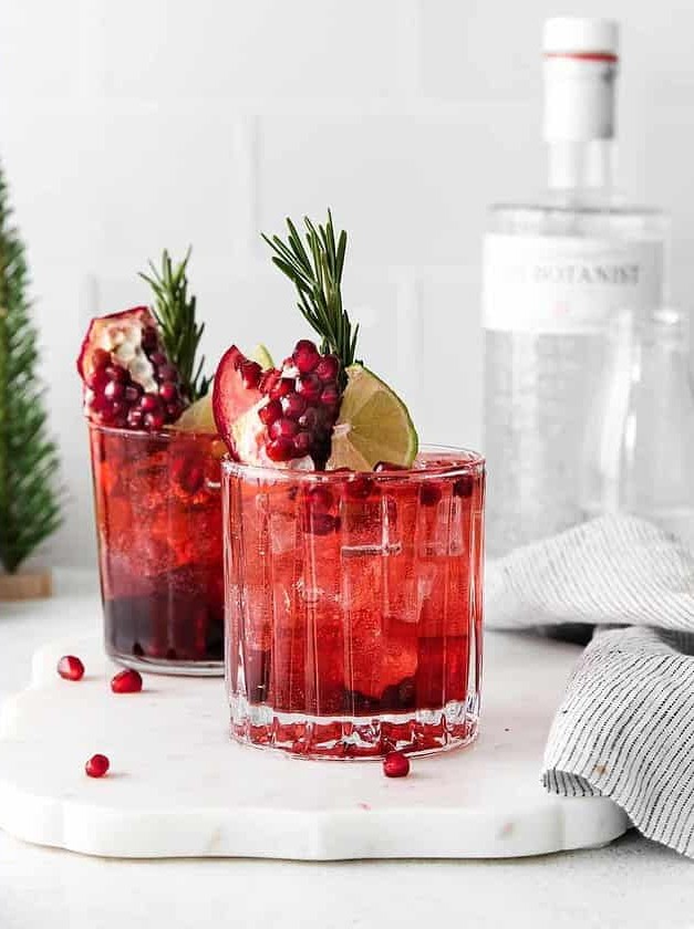 Pomegranate Gin and Tonic