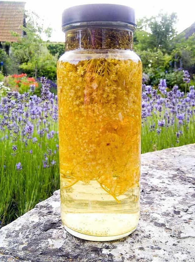 Elderflower Vodka