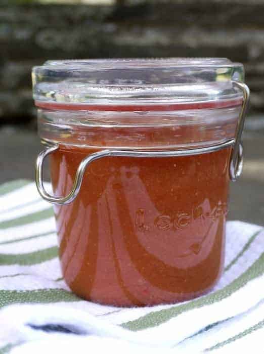 Homemade Rhubarb BBQ Sauce