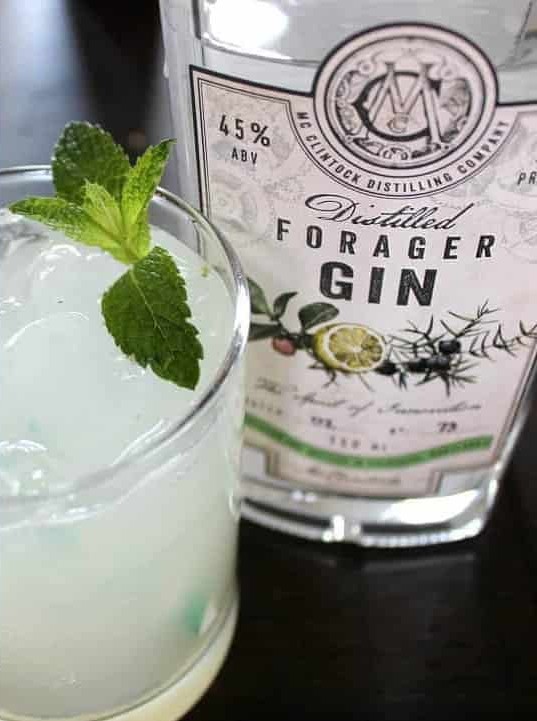 Thirsty Forager Gin Cocktail